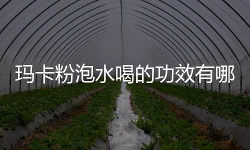 玛卡粉泡水喝的功效有哪些