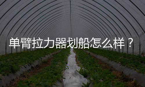 单臂拉力器划船怎么样？