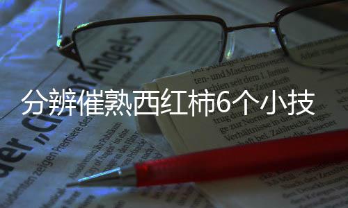 分辨催熟西红柿6个小技巧