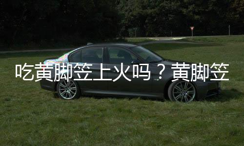 吃黄脚笠上火吗？黄脚笠的营养价值有哪些