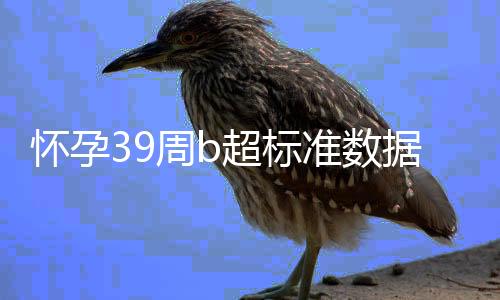 怀孕39周b超标准数据