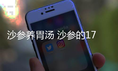 沙参养胃汤 沙参的17大功效