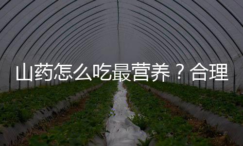 山药怎么吃最营养？合理搭配营养翻倍