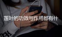 莲叶的功效与作用都有什么