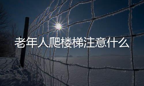 老年人爬楼梯注意什么