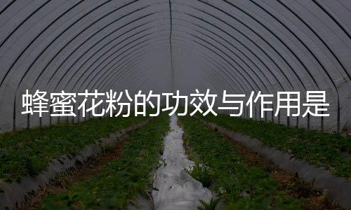 蜂蜜花粉的功效与作用是什么