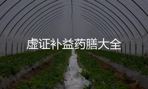 虚证补益药膳大全