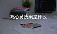 鸡心黄皮果是什么